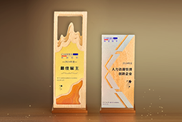 南宫NG28国际一举斩获“2024年度中国区最佳雇主”等多项大奖